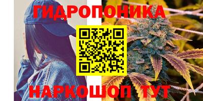 марихуана Кандалакша