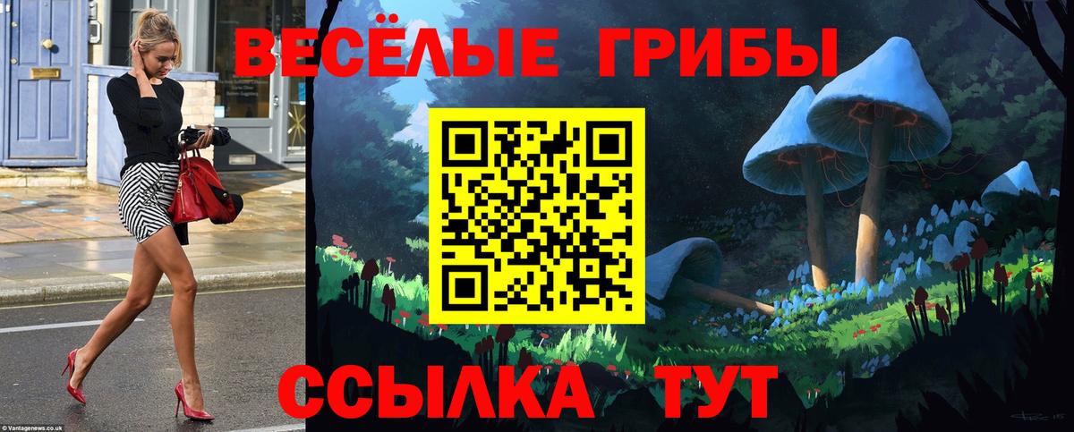 Галлюциногенные грибы Cubensis Лабытнанги